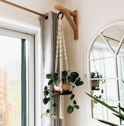 Photo de Plante suspendues avec des cordes macramé